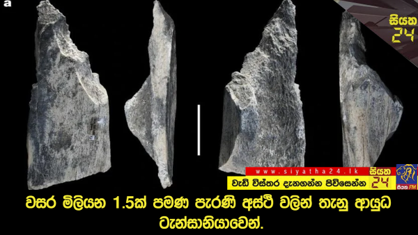 වසර මිලියන 1.5ක් පමණ පැරණි අස්ථි වලින් තැනු ආයුධ ටැන්සානියාවෙන්.