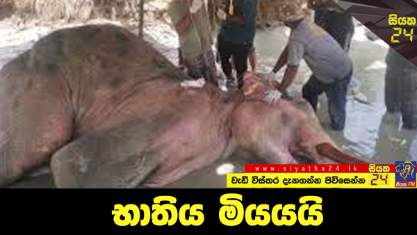 භාතිය මියයයි